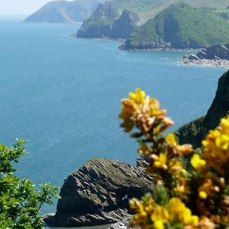 Mellstock House Hotel Ilfracombe Luaran gambar