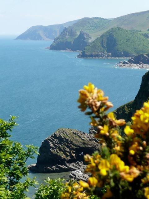 Mellstock House Hotel Ilfracombe Luaran gambar
